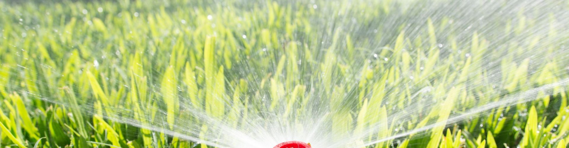 lawnsprinkler 154a65ac9aa24fb89ed6cab98dd55cbc