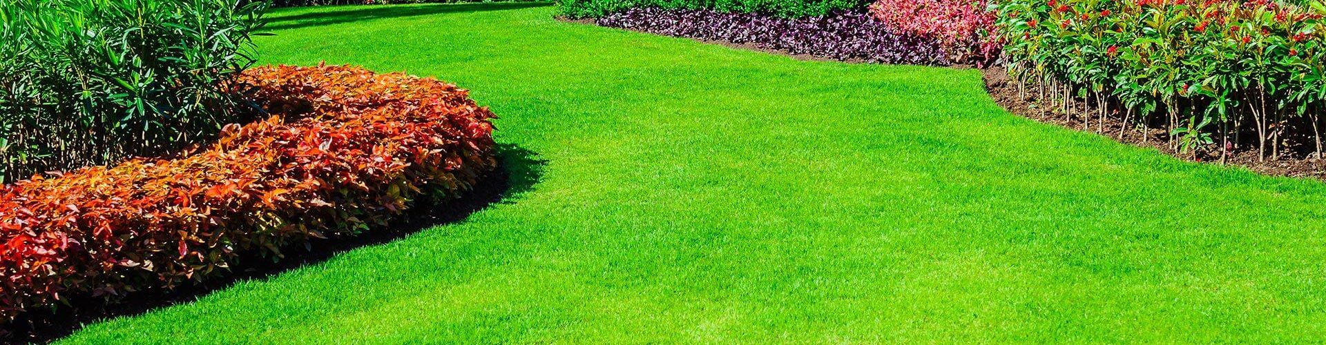 commercial lawn stock 1