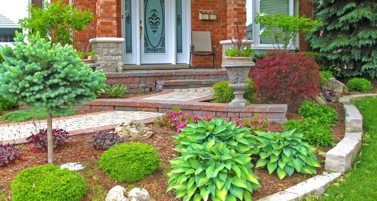 lofgren front yard